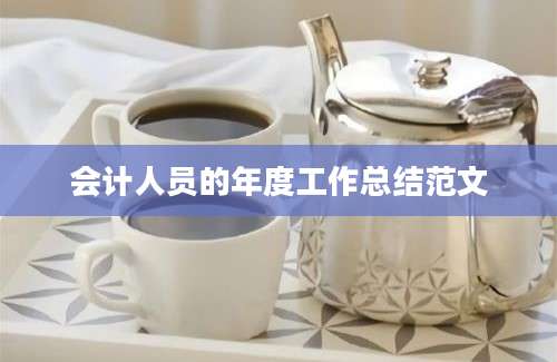 会计人员的年度工作总结范文
