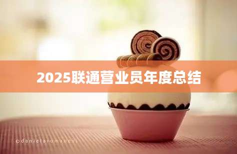 2025联通营业员年度总结