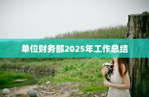单位财务部2025年工作总结