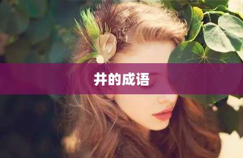 井的成语