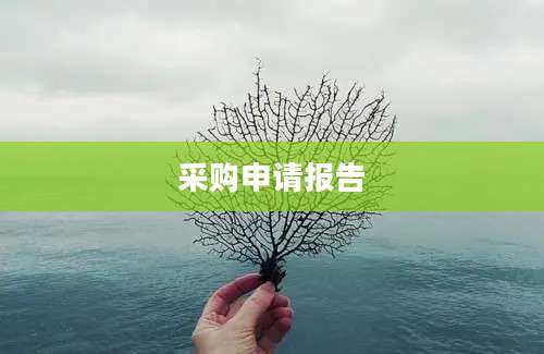 采购申请报告