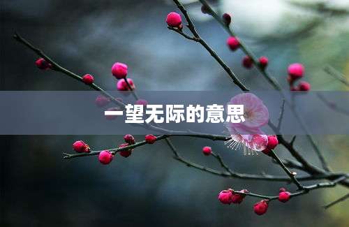 一望无际的意思