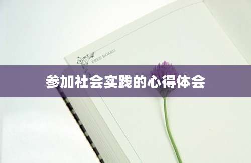 参加社会实践的心得体会