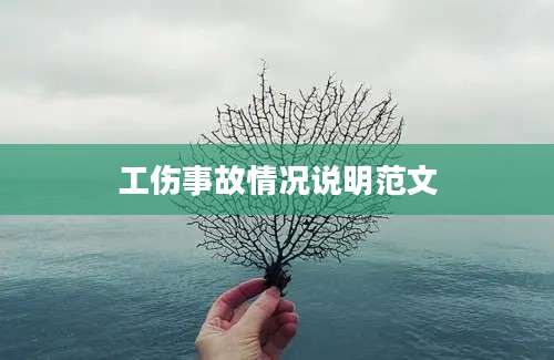 工伤事故情况说明范文