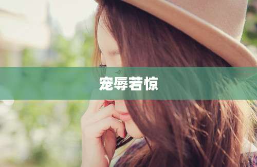 宠辱若惊