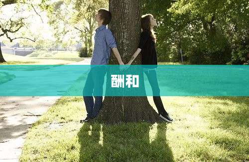 酬和