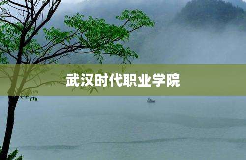 武汉时代职业学院