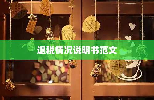 退税情况说明书范文