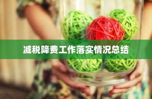 减税降费工作落实情况总结