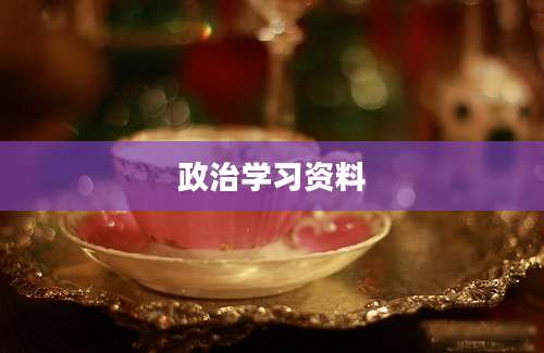 政治学习资料