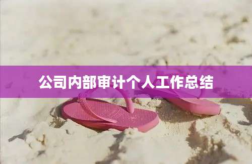 公司内部审计个人工作总结
