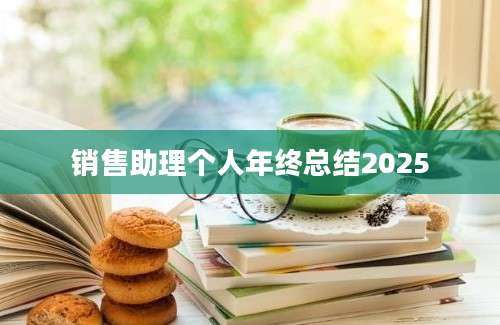 销售助理个人年终总结2025