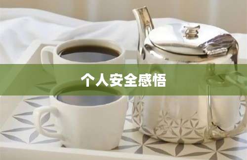 个人安全感悟