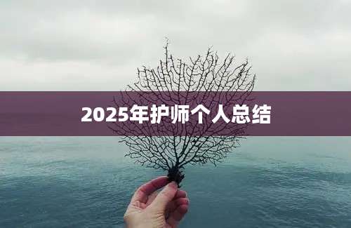 2025年护师个人总结