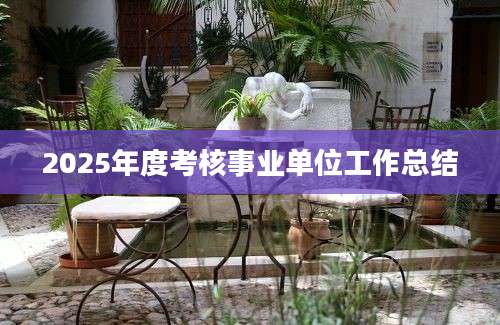 2025年度考核事业单位工作总结