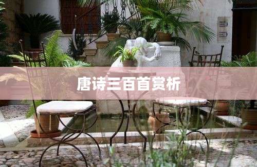 唐诗三百首赏析