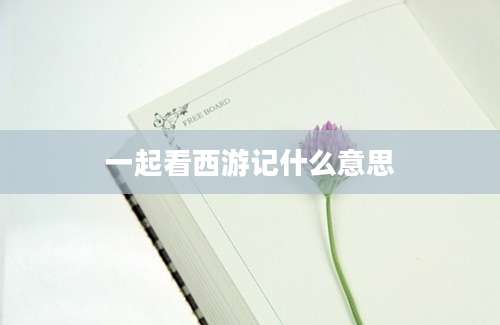 一起看西游记什么意思