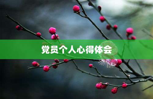 党员个人心得体会