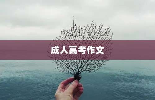 成人高考作文