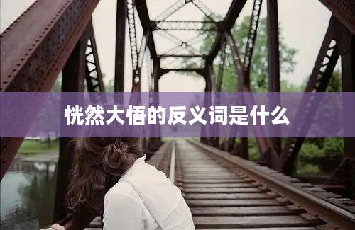 恍然大悟的反义词是什么