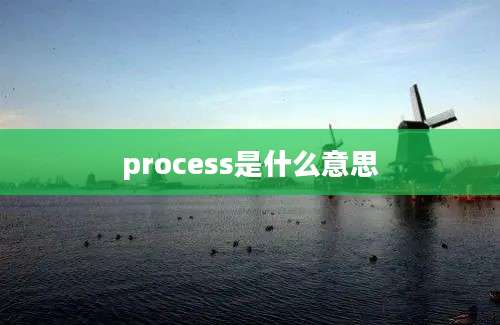 process是什么意思