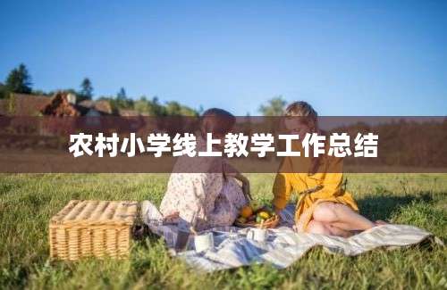 农村小学线上教学工作总结