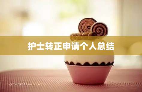 护士转正申请个人总结