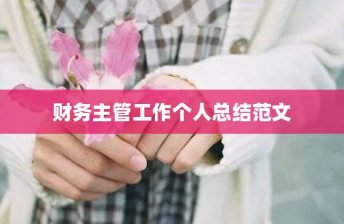 财务主管工作个人总结范文