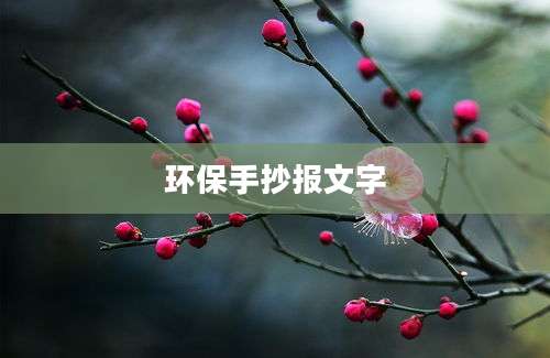 环保手抄报文字