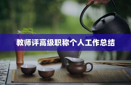 教师评高级职称个人工作总结