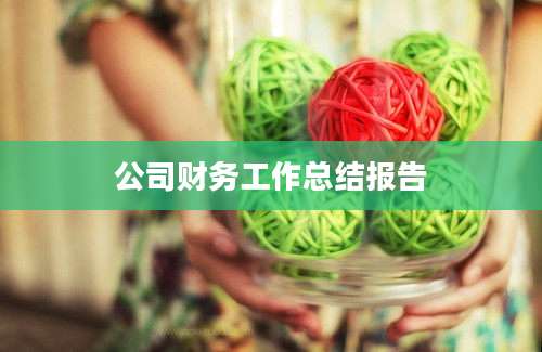 公司财务工作总结报告