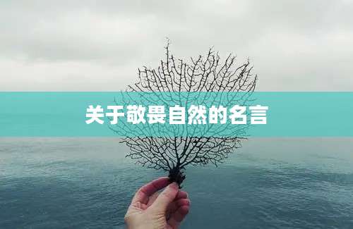 关于敬畏自然的名言