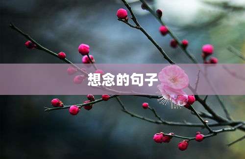 想念的句子