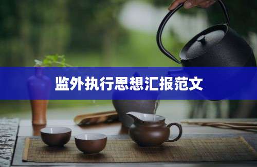 监外执行思想汇报范文