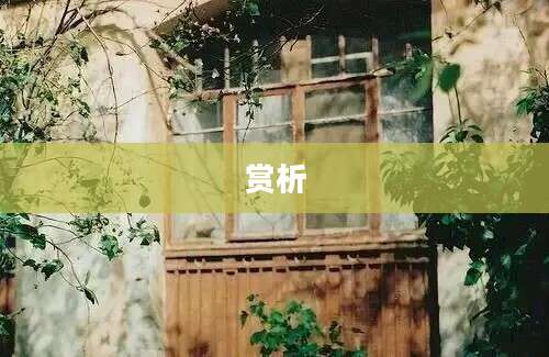 赏析
