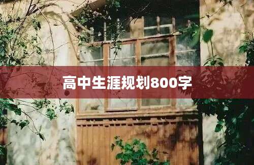 高中生涯规划800字