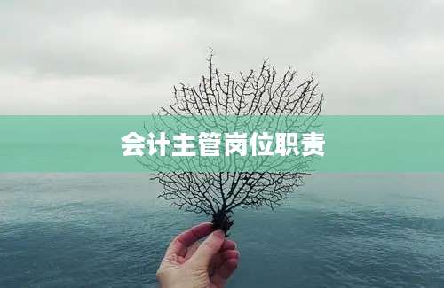 会计主管岗位职责