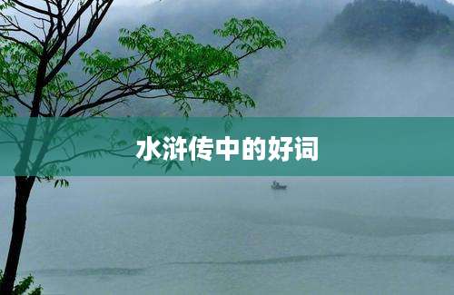 水浒传中的好词