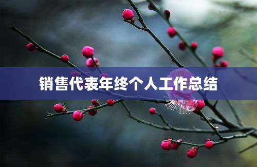 销售代表年终个人工作总结