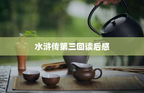 水浒传第三回读后感