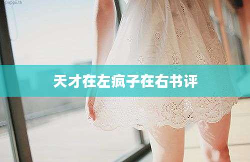 天才在左疯子在右书评