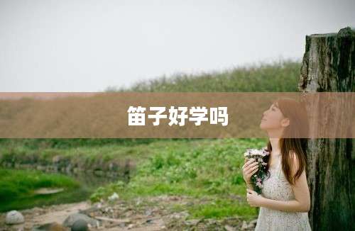 笛子好学吗