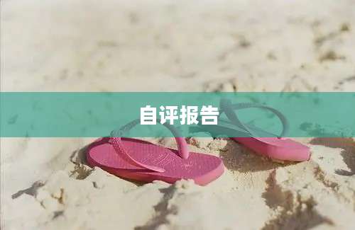 自评报告