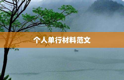 个人单行材料范文