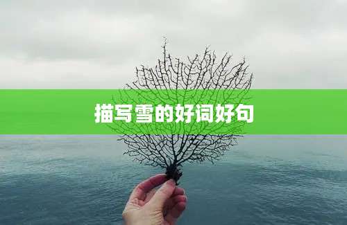 描写雪的好词好句