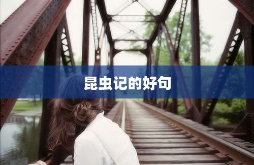 昆虫记的好句