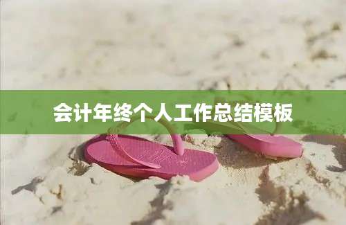 会计年终个人工作总结模板