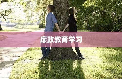 廉政教育学习