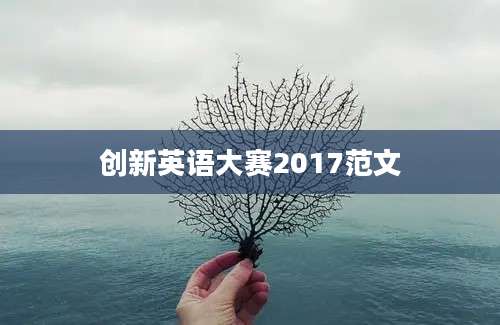 创新英语大赛2017范文