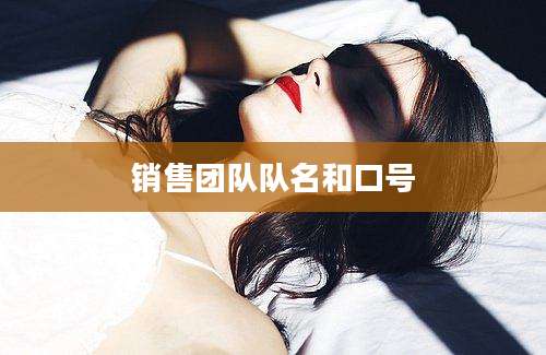 销售团队队名和口号